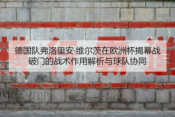 de-guo-dui-fu-luo-li-an-wei-er-ci-zai-ou-zhou-bei-jie-mu-zhan-po-men-de-zhan-shu-zuo-yong-jie-xi-yu-qiu-dui-xie-tong-2-488.jpg