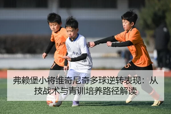 弗赖堡小将维奇尼奇多球逆转表现：从技战术与青训培养路径解读