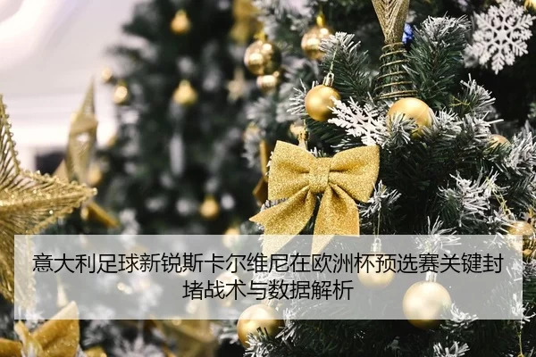 yi-da-li-zu-qiu-xin-rui-si-ka-er-wei-ni-zai-ou-zhou-bei-yu-xuan-sai-guan-jian-feng-du-zhan-shu-yu-shu-ju-jie-xi-2-582.jpg