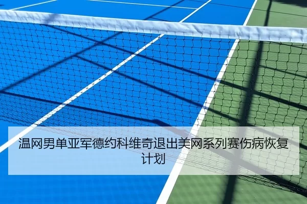 温网男单亚军德约科维奇退出美网系列赛伤病恢复计划